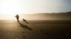 Silhouette von einer Frau, die mit einem Hund am Strand bei Sonnenuntergang spielt