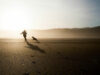 Silhouette von einer Frau, die mit einem Hund am Strand bei Sonnenuntergang spielt