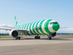 Condor Flieger am Boden